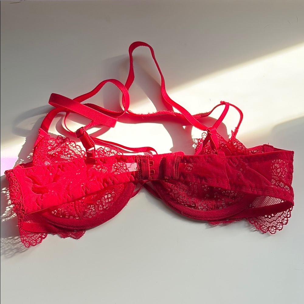 Elegant Red Lace Bra - Picture 4 of 5